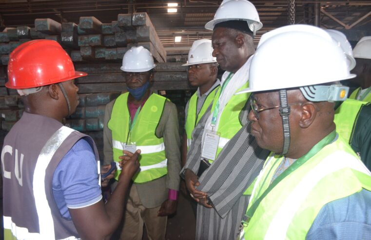 Exploitation de fer au Mali :  le CESEC visite les installations de FERMALI et de IMAFER