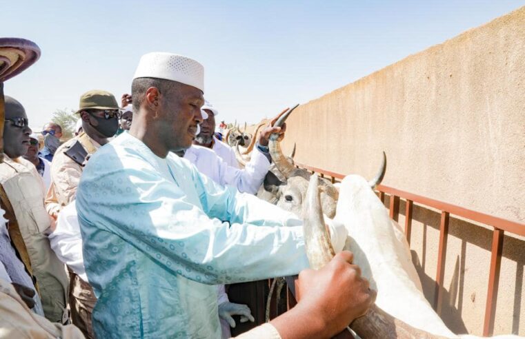 CAMPAGNE NATIONALE DE VACCINATION DU CHEPTEL 2024-2025: Le Premier ministre donne le coup d’envoie