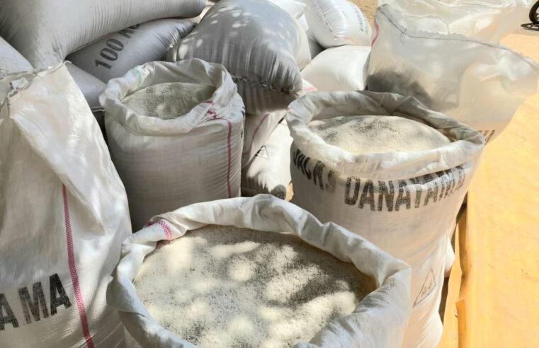 RIZ : Les prix mondiaux pourraient rester sous tension au premier trimestre 2026