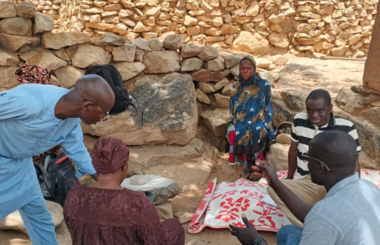 SANTÉ PUBLIQUE AU MALI : Ces soignants qui bravent les défis pour sauver des vies